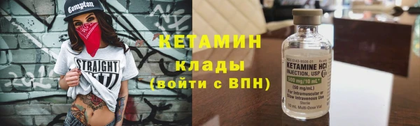 прущие грибы Дмитриев