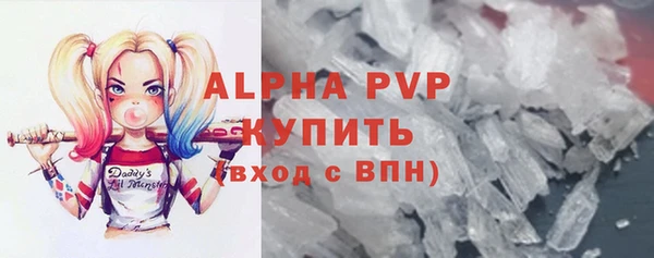 прущие грибы Дмитриев