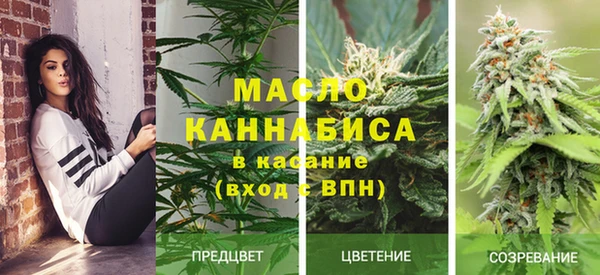 прущие грибы Дмитриев