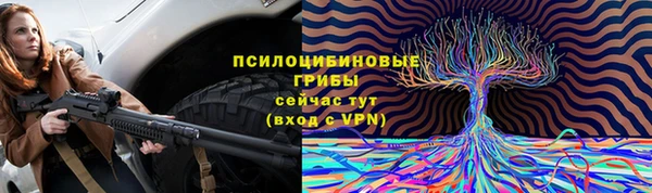 спайс Дмитровск