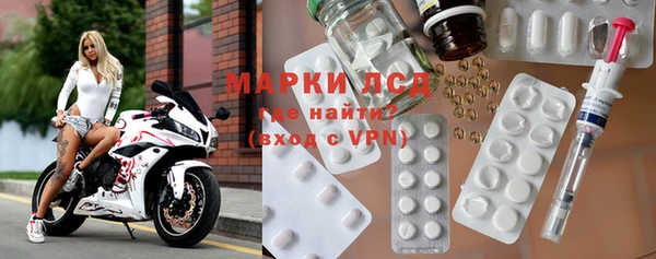 прущие грибы Дмитриев