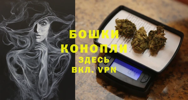 прущие грибы Дмитриев