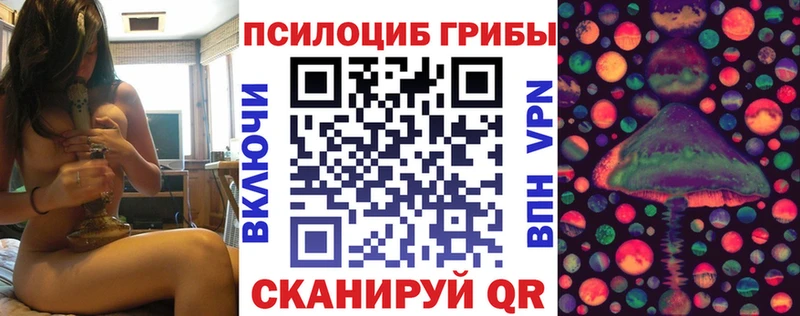 Галлюциногенные грибы Cubensis  Купить  Жиздра 