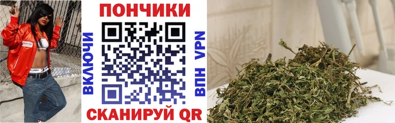 Каннабис план Жиздра